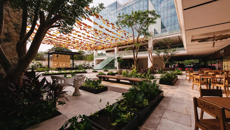 Paseo 60, a detalle