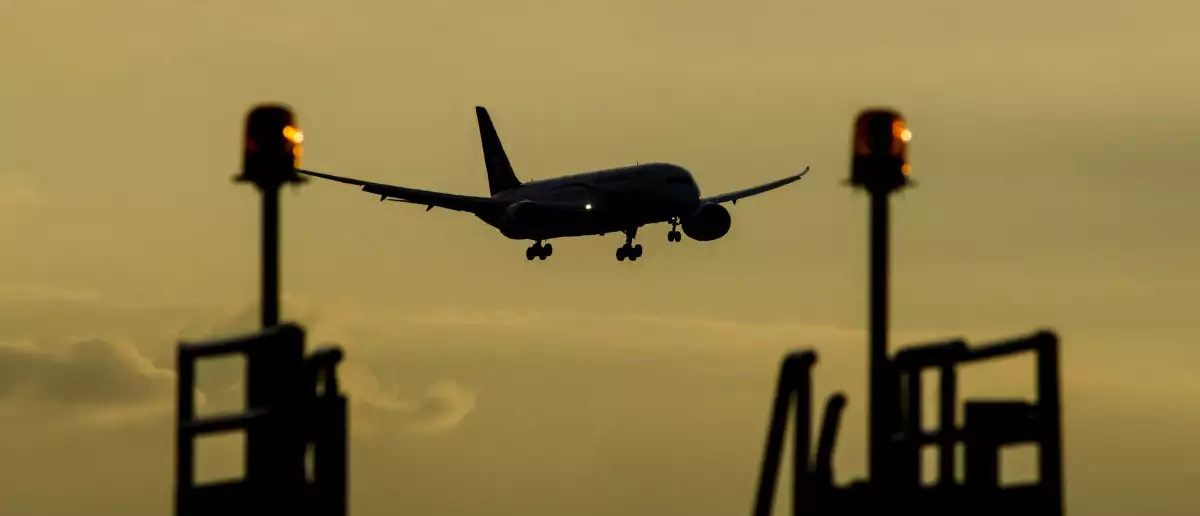 Vuelo conjunto