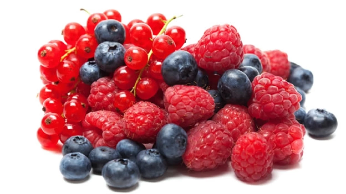moras fresas zarzamoras