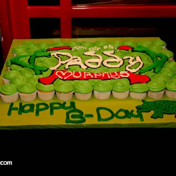 Primer aniversario de Paddy