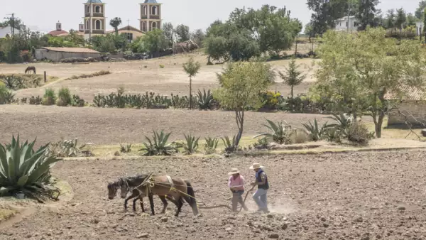 Pequeños productores rurales