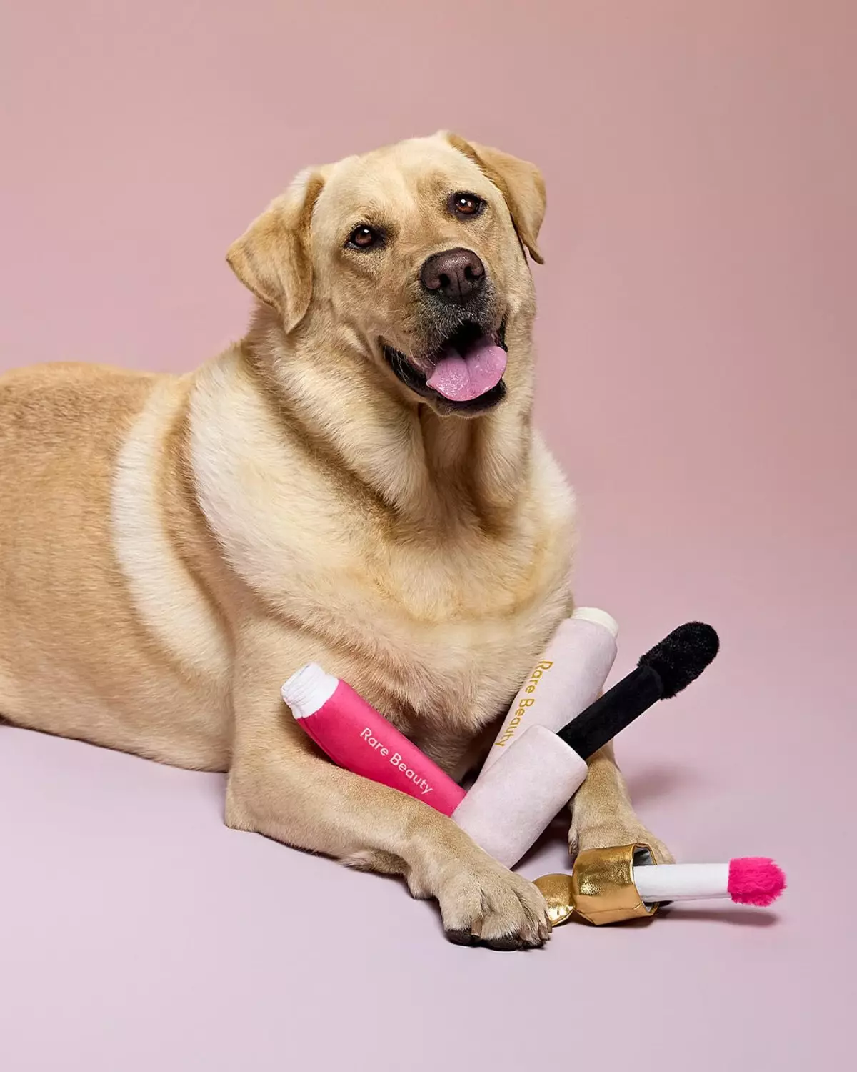 Selena Gomez lanza productos de Rare Beauty para perritos