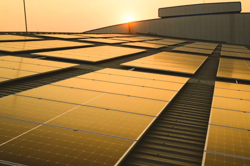 Cushman & Wakefield sustentabilidad