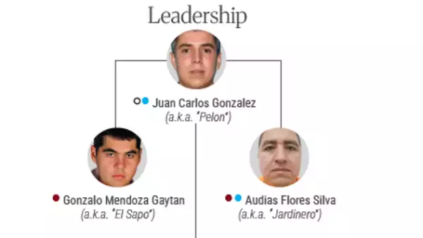 cjng.png