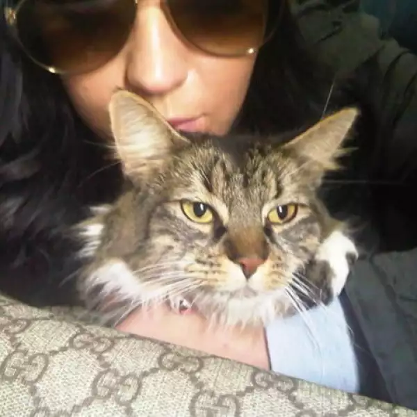 Katy Perry posó con su gatito y aprovechó para presumir su bolsa Gucci.