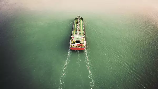 El lunes pasado el SAT dio a conocer una lista de más de 80 empresas que habían sido suspendidos del padrón de importación.