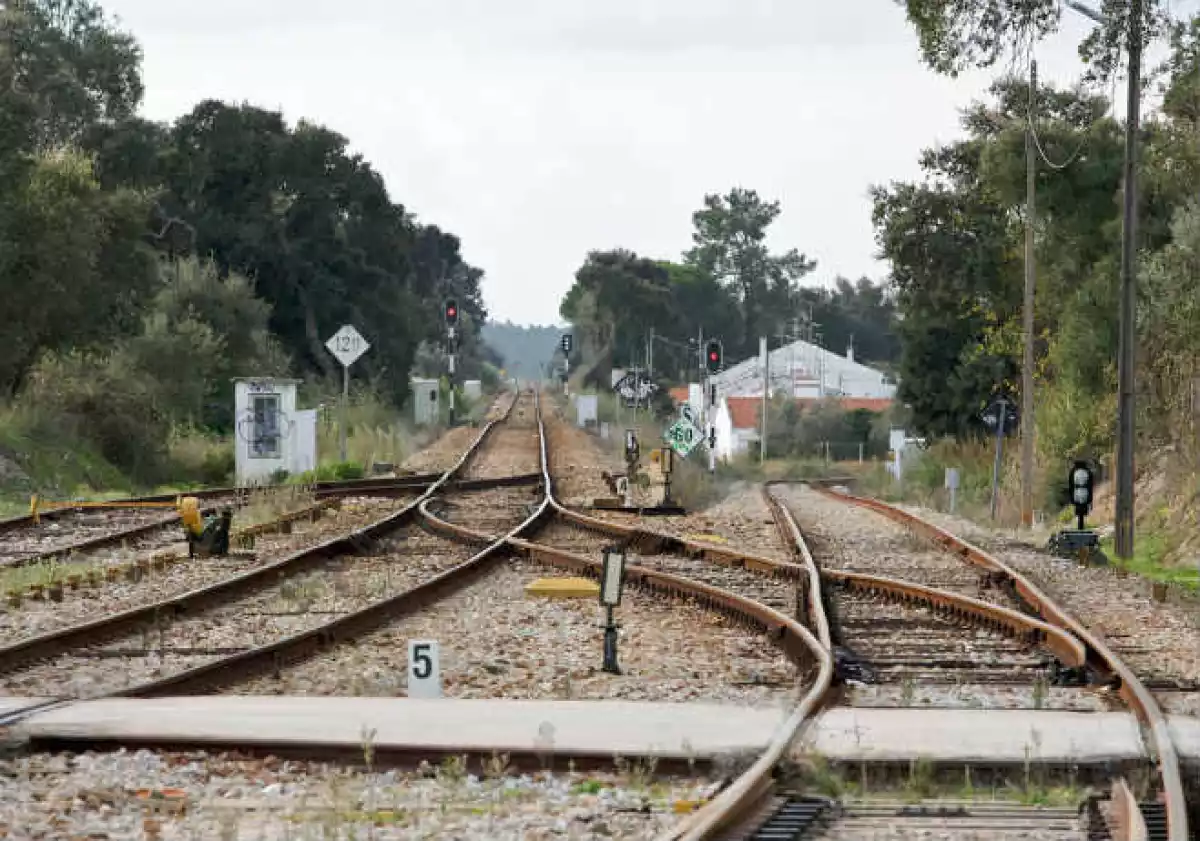 Trenes