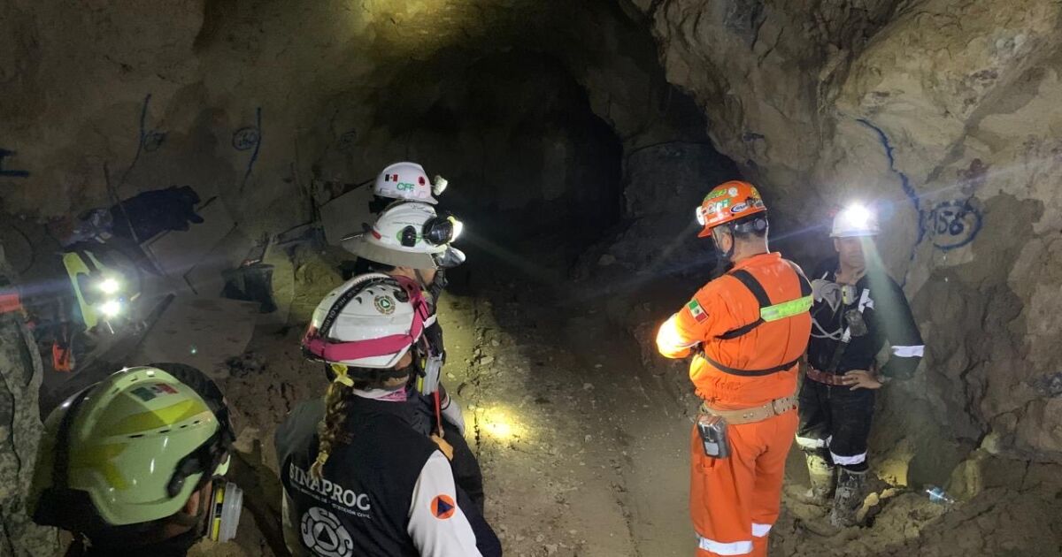 Las autoridades mantienen la búsqueda del último trabajador atrapado a un mes del colapso en la mina Santa Fe

Las labores de rescate del minero se realizan de manera ininterrumpida, aseguró la Coordinación Nacional de Protección Civil.