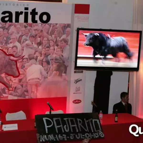 presentacion libro Pajarito