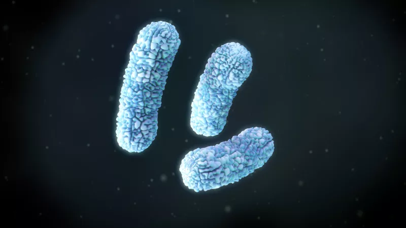 oms-guinea-e-brote-de-marburgo