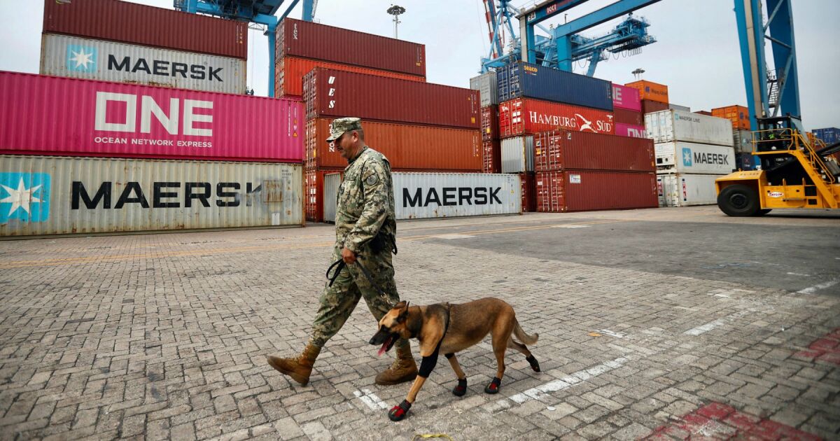 Meksika'nın ekonomik büyümesi yavaş kalacak; ABD tarifelerinin vurulmasını bekliyoruz
