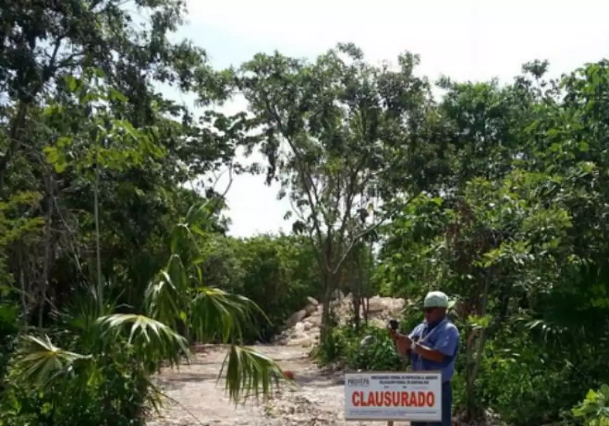 Profepa clausura deforestaci�n en cenote de Quintana Roo