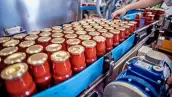 produccion-latas-pure-tomate.jpeg