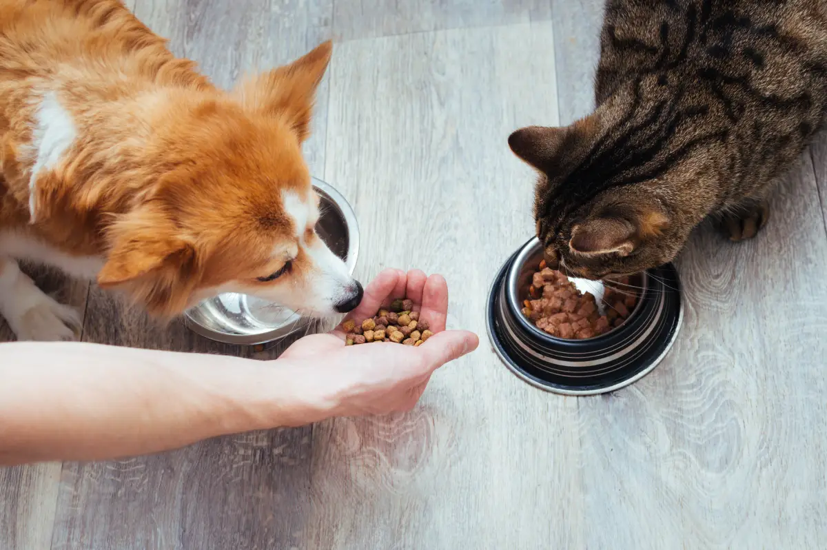Pedigree y Ganador son algunas de las marcas de alimento para mascota. 
