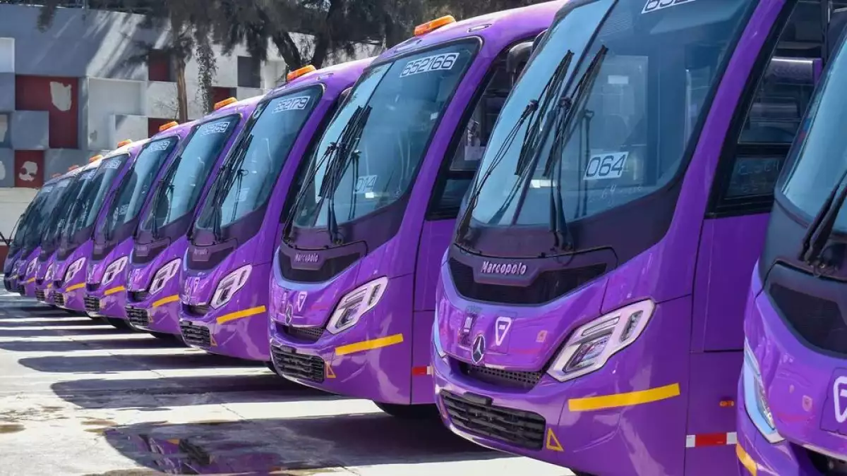 nuevos microbuses cdmx