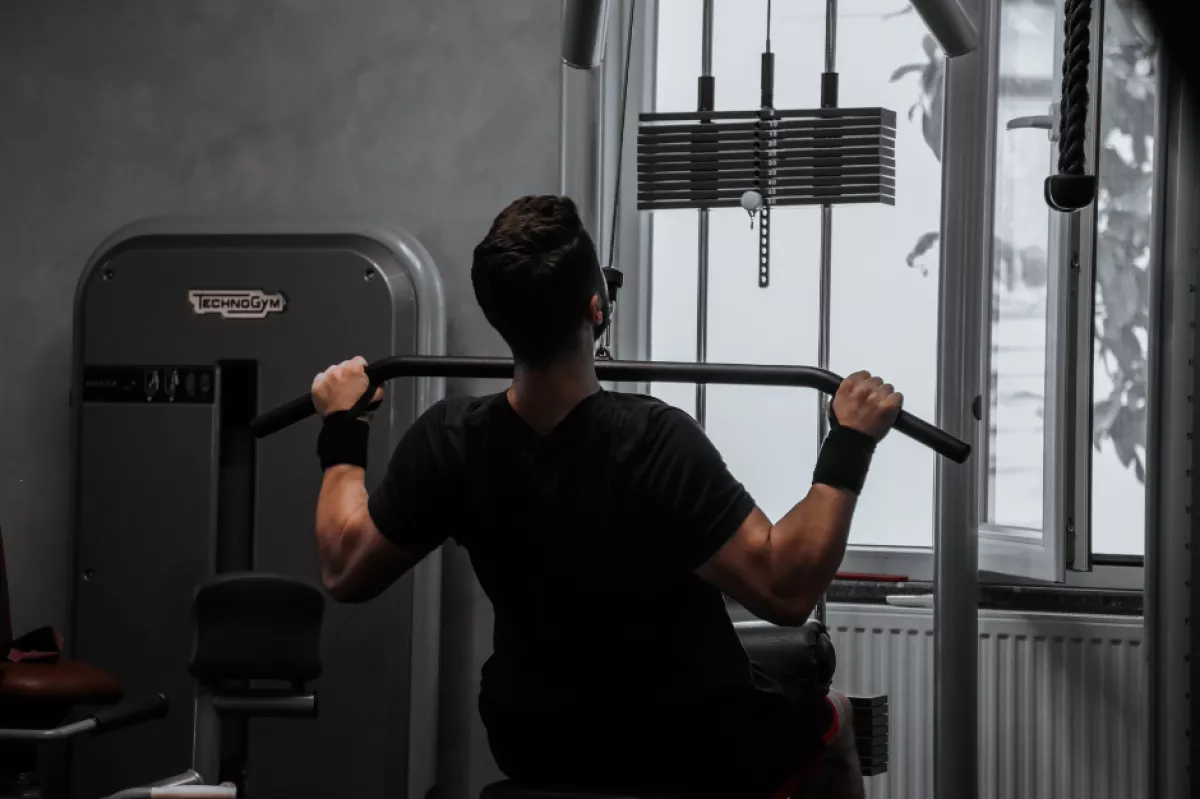 push pull legs.png