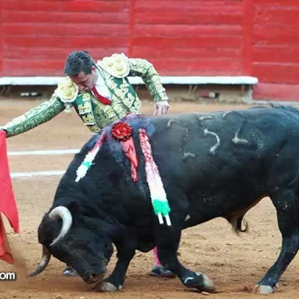 Diego Urdiales