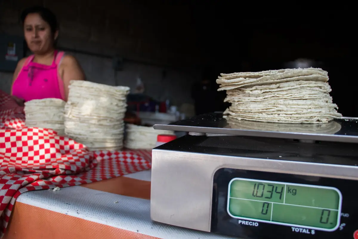 Precio de la tortilla insumos 