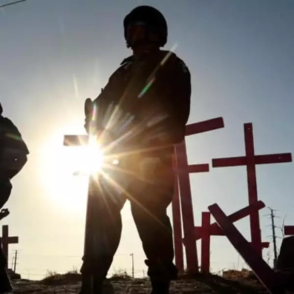 campo algodonero juárez 6