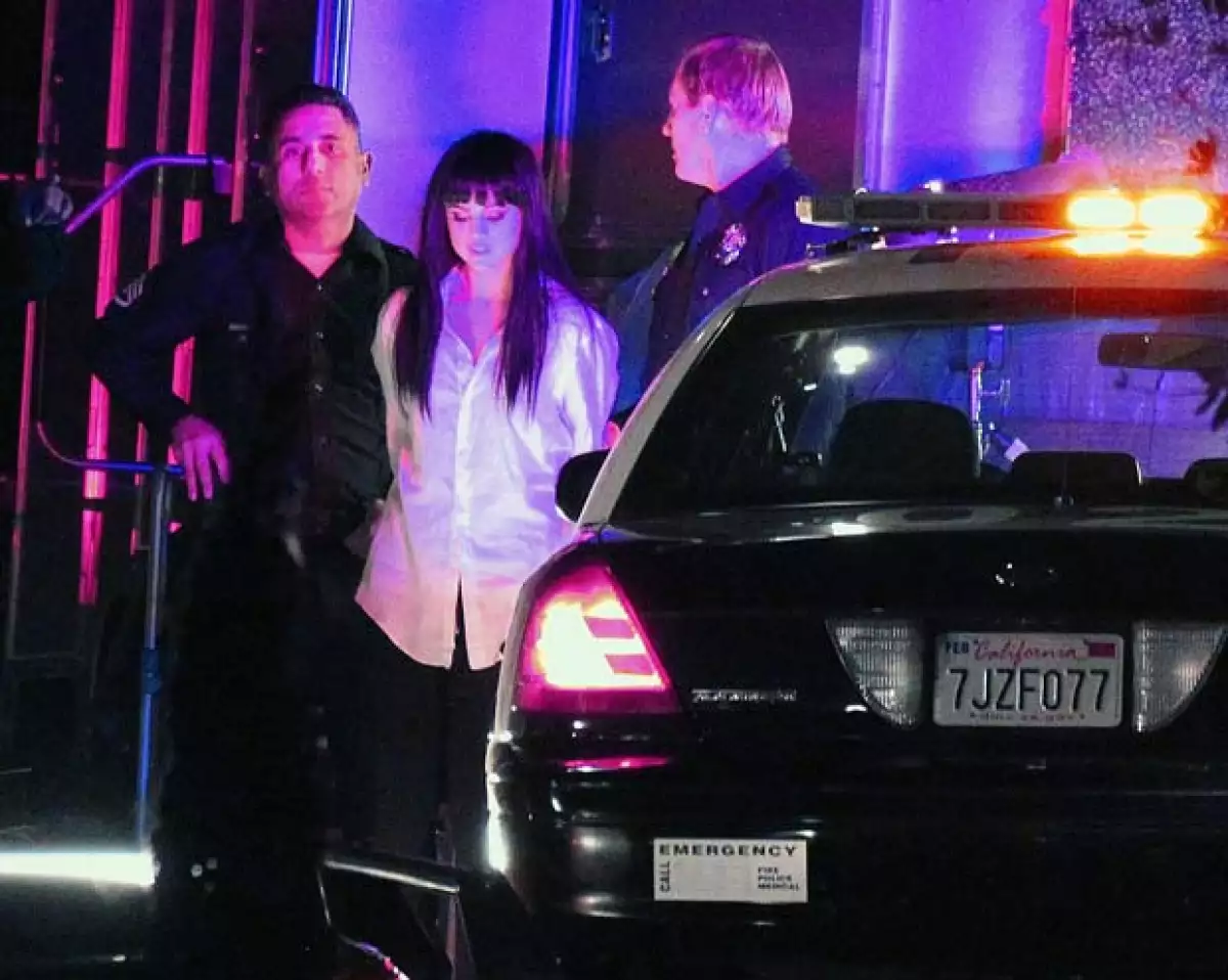 Los policias la arrestan en una escena del video.