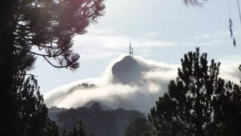 Bosque de los Murmullos