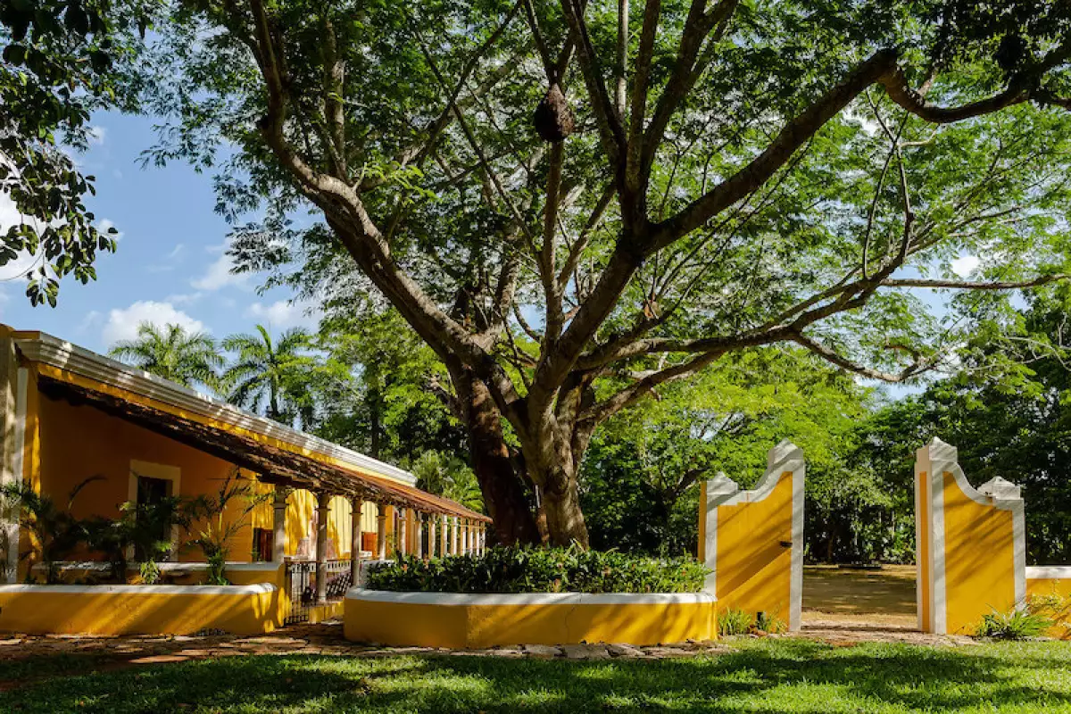 Life and Style Xcanatún 3.jpg