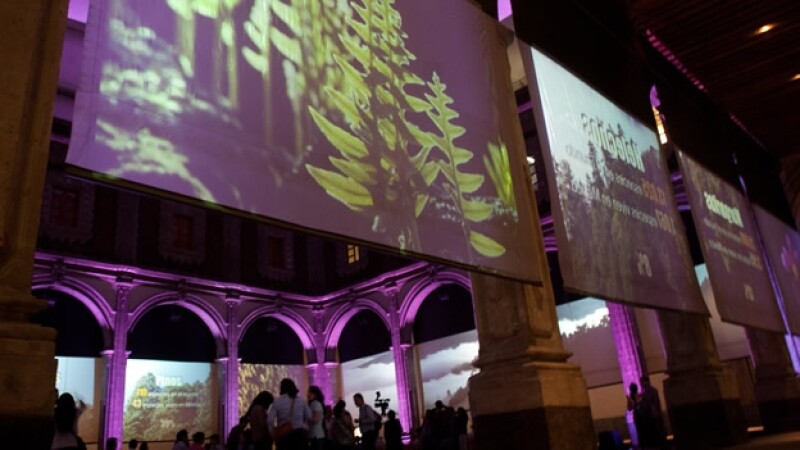 museo interactivo de economía video capital natural de México