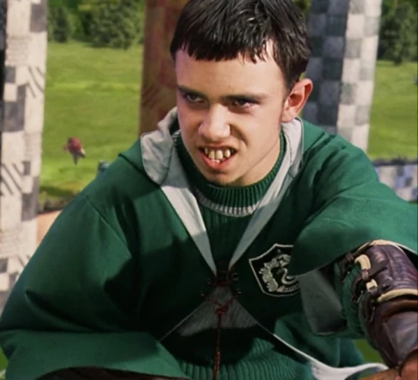 Jamie le hizo la vida imposible a Harry cuando jugaban Quidditch en Harry Potter and the Chamber of Secrets.