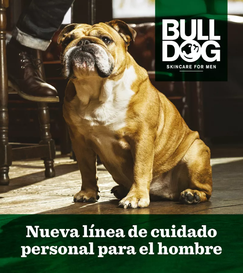 Bulldog