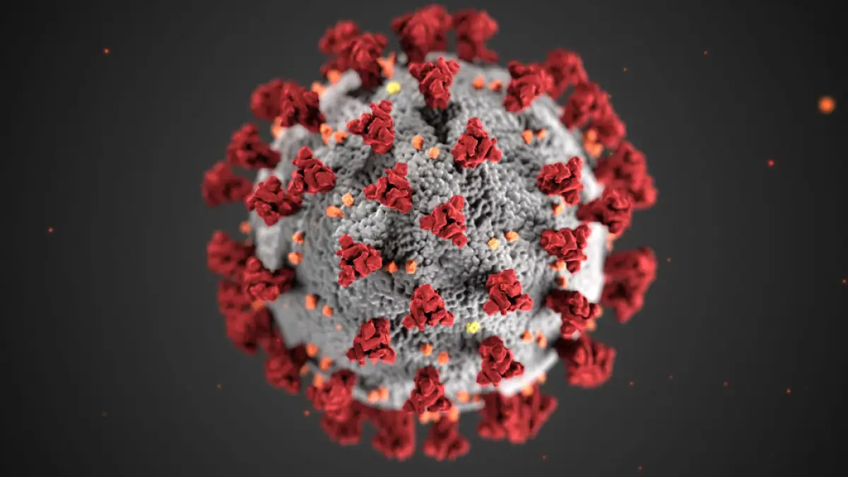 Virus COVID-19