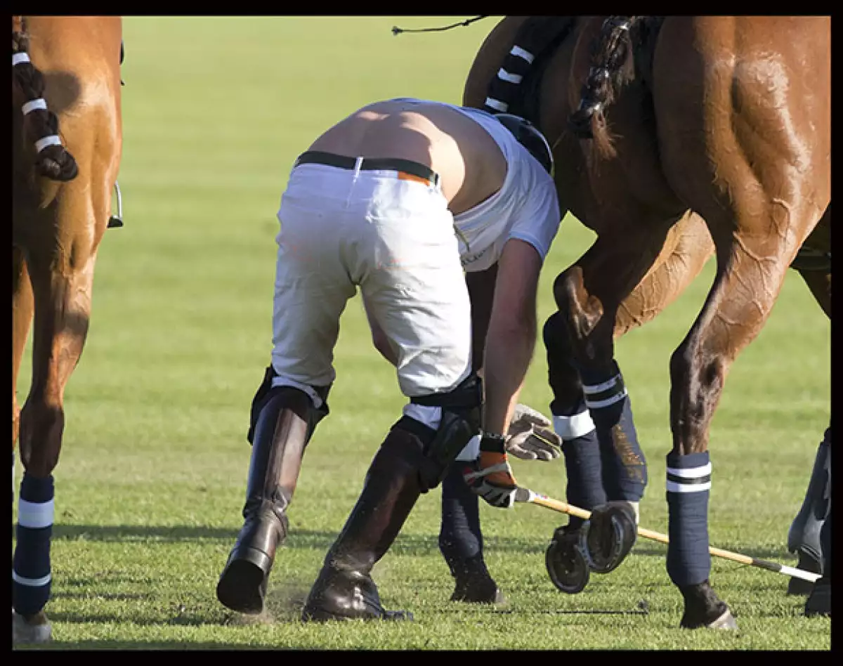 Harry no contaba con que el caballo lo volvería a lanzar por el aire.