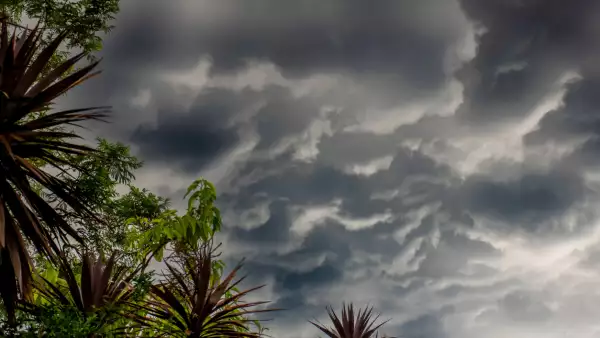 La niña