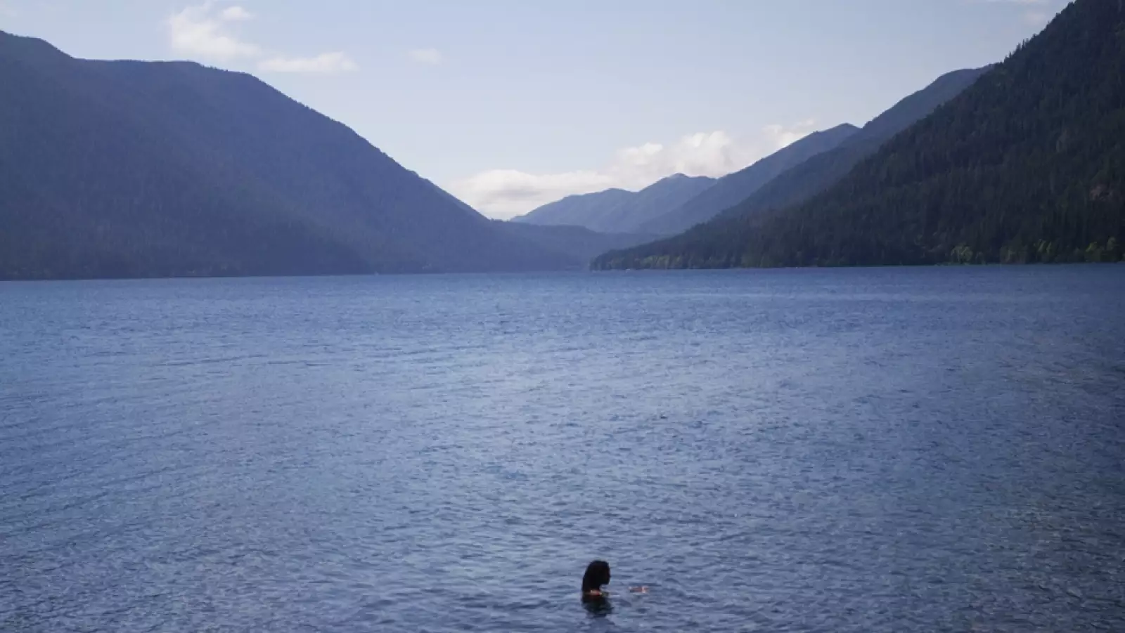 Olympic National Park Washington