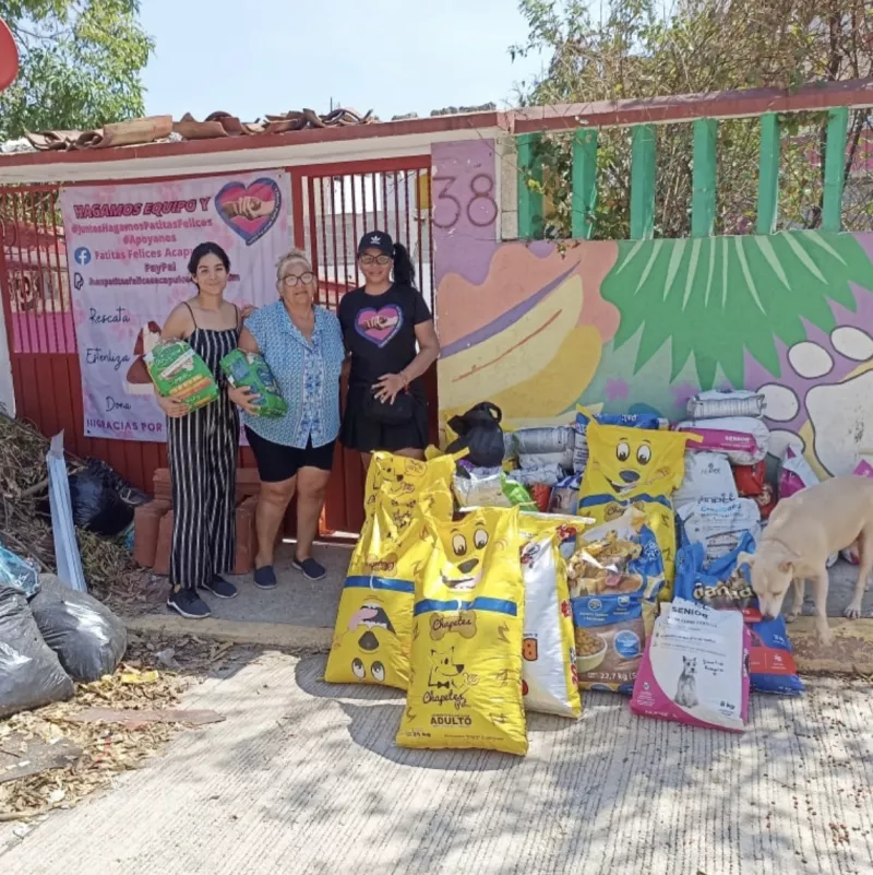 Campaña Patitas felices Acapulco