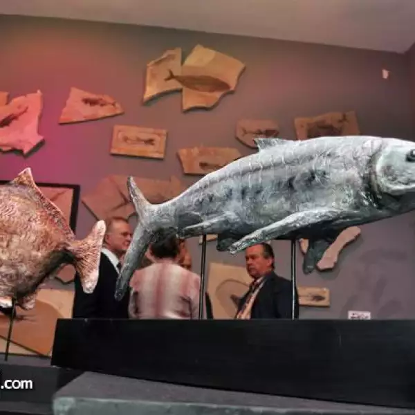 Inauguraci?el Museo El Centenario