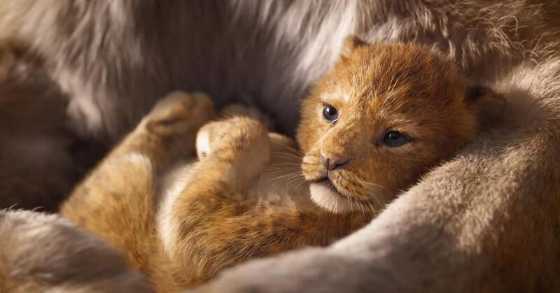 El rey león