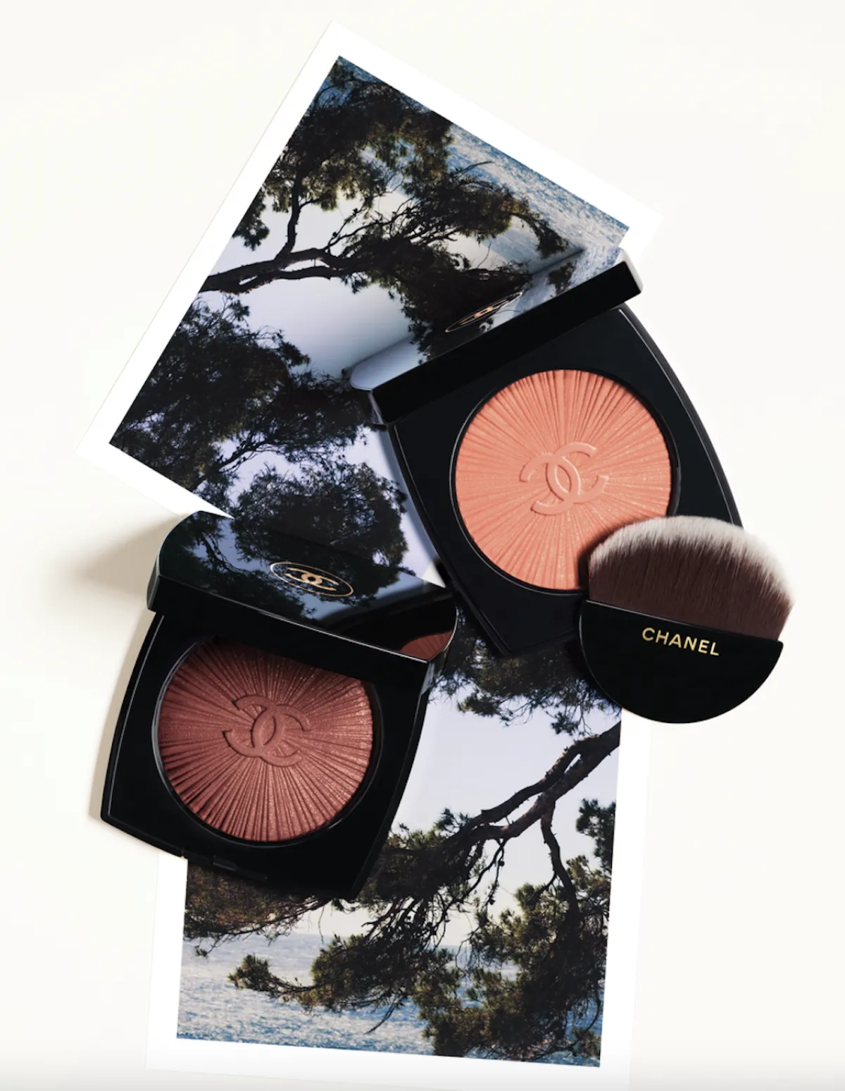 chanel blush.png