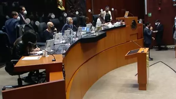 pleno del senado.jpeg