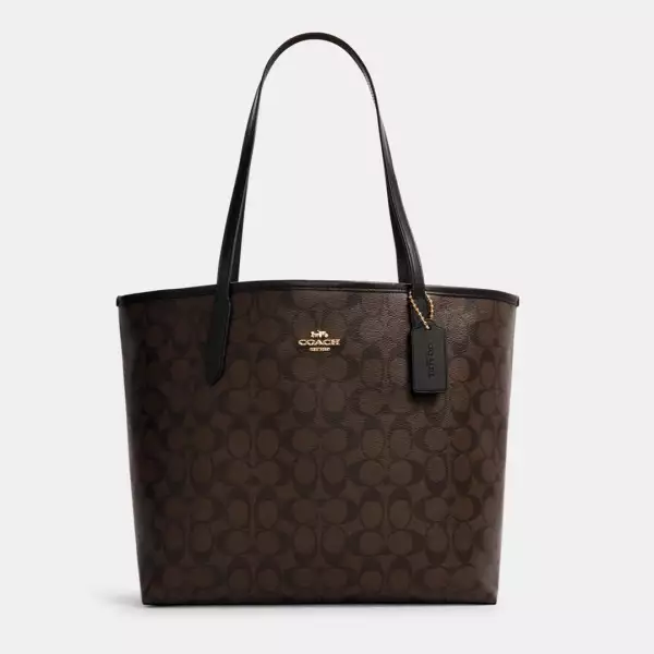 Bolsa coach.jpg