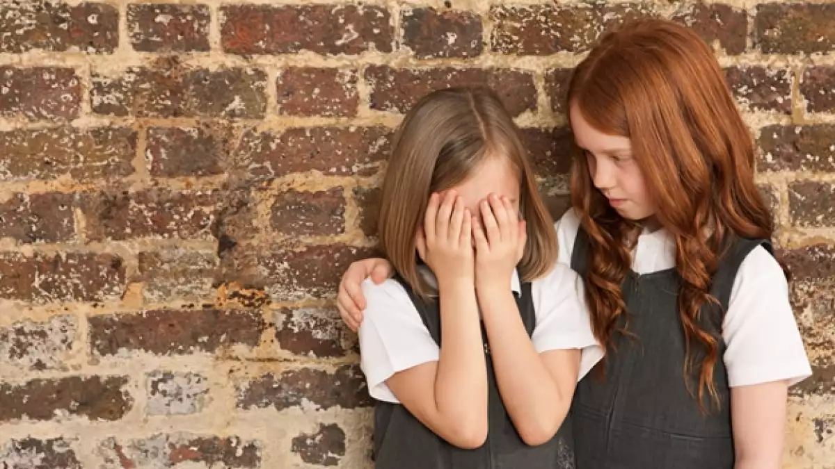 ninos bullying ayuda amigos escuela