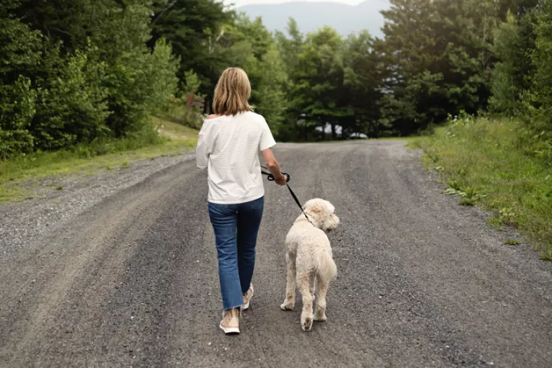 Mature woman walking her dog on country road in summer.