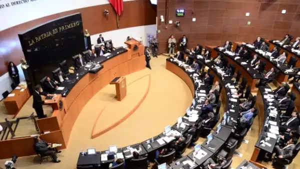 Senado