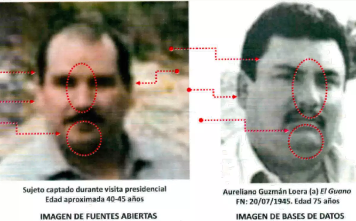 comparativo hermano chapo