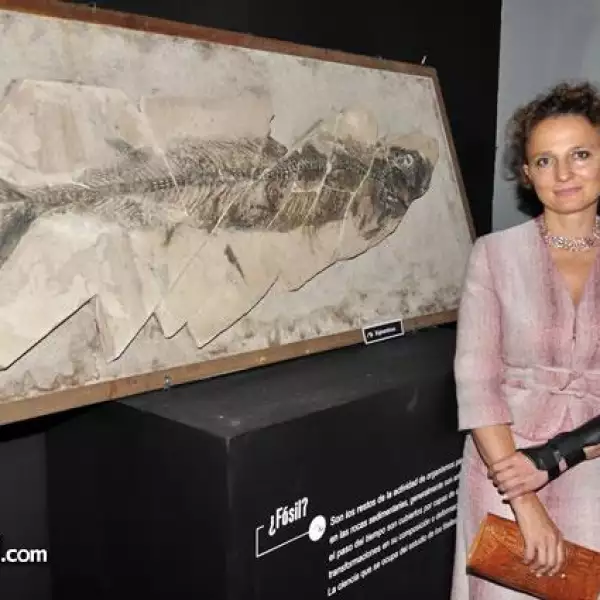 Inauguraci?el Museo El Centenario