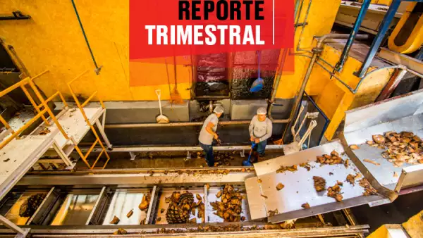 Cuervo reporte financiero