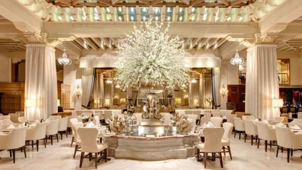 Beba como un rey en The Drake Hotel en Chicago