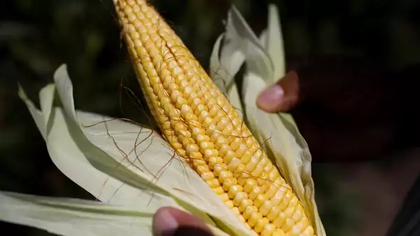 Agricultores anuncian paro nacional y bloqueos este 27 de octubre