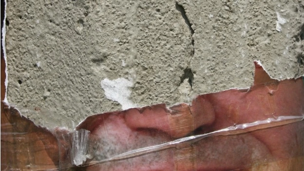 basura electoral