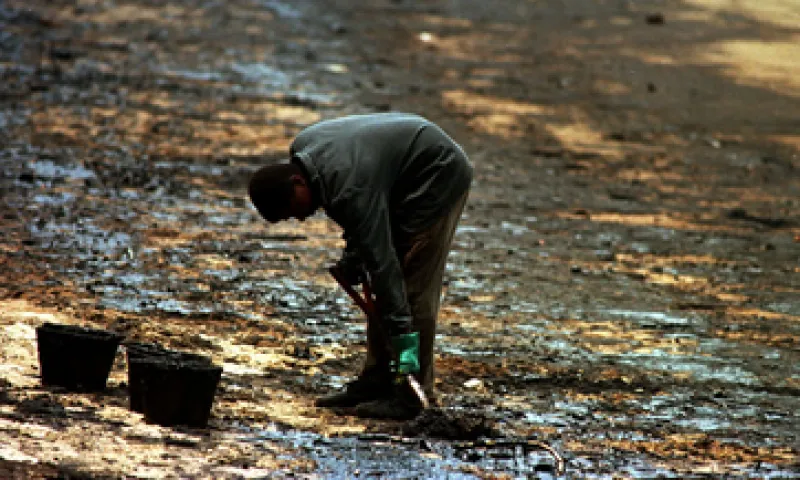 La orden judicial fue emitida tras una acción presentada por el Ministerio Público Federal tras un derrame de petróleo en el yacimiento de Frade, en la cuenca de Campos, en noviembre. (Foto: AP)