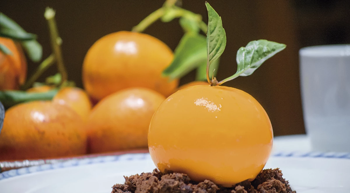 Mousse de queso y mandarina